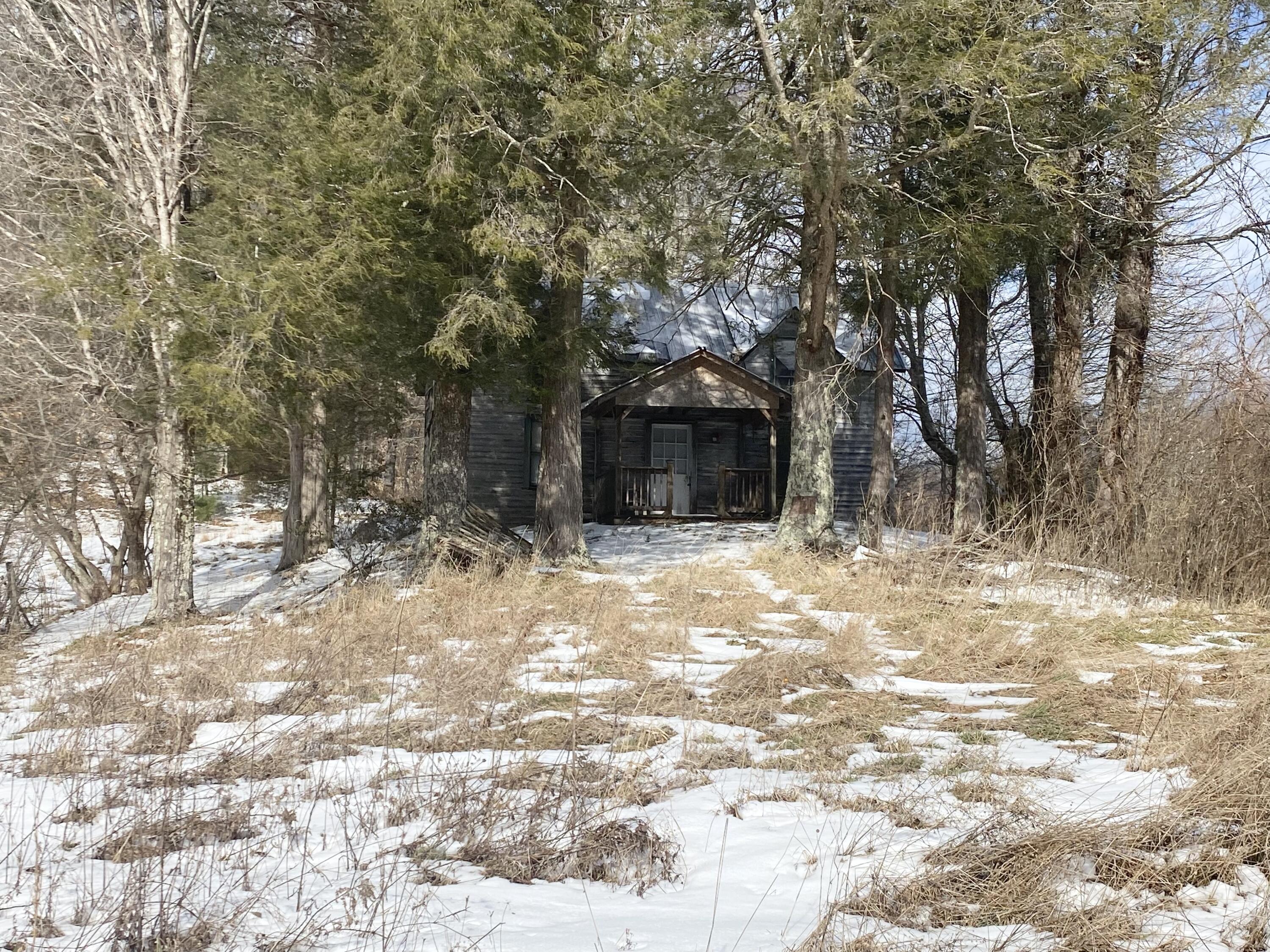 1741 Ripshin Mountain Road Roan Mountain, TN 37687 - Photo 8 of 42 939469FA-D0E2-462A-A5FC-6676E10719C0