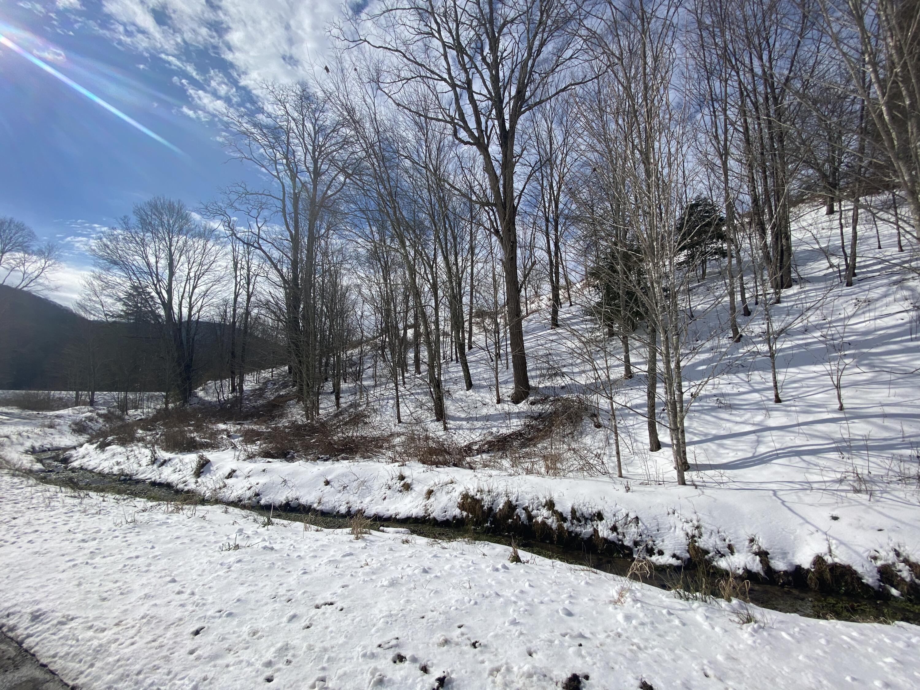 1741 Ripshin Mountain Road Roan Mountain, TN 37687 - Photo 9 of 42 D8482753-F385-4169-9FA4-16D0CEE8C7F1