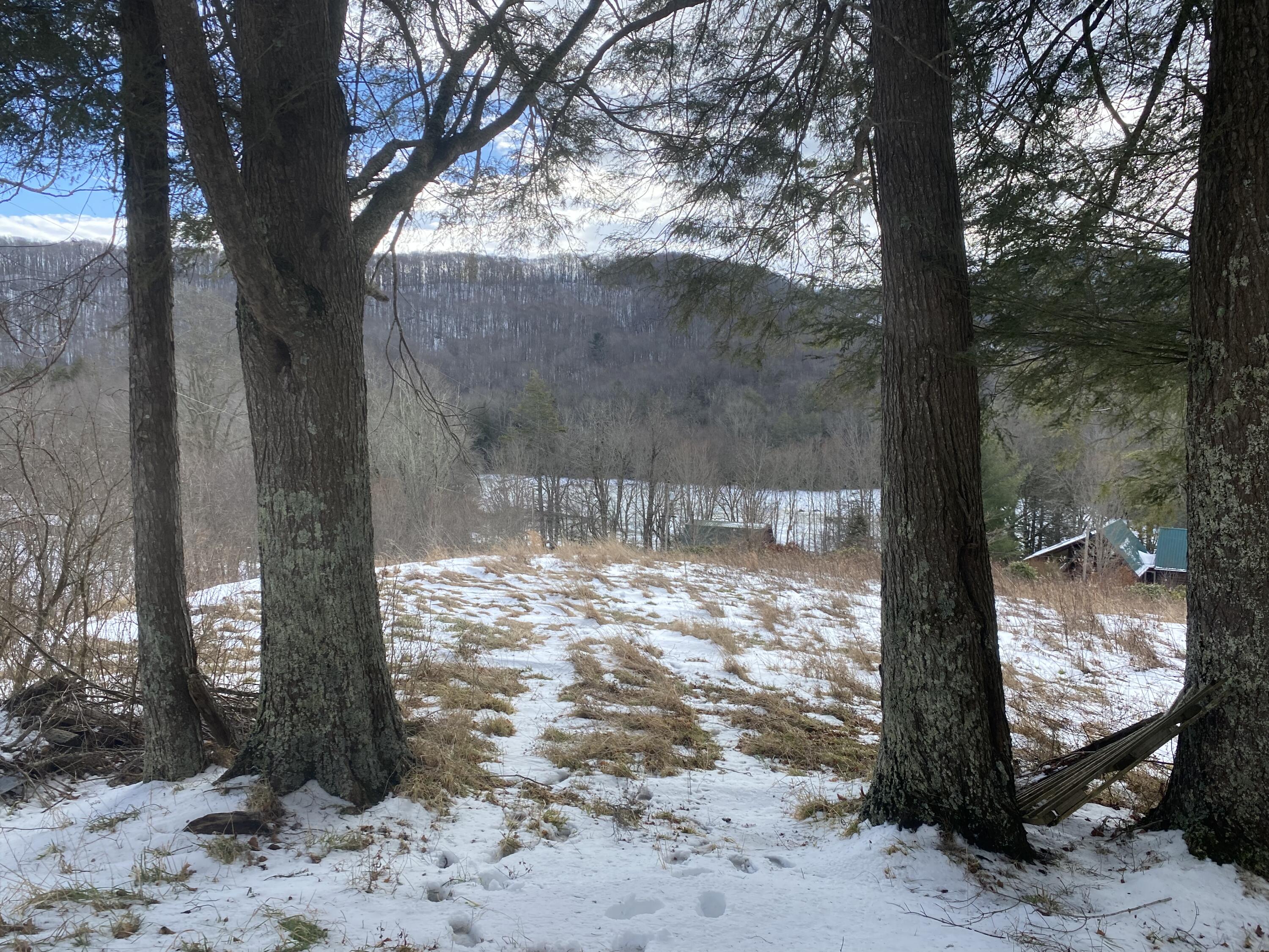 1741 Ripshin Mountain Road Roan Mountain, TN 37687 - Photo 10 of 42 DC1E75F9-784D-41DB-9F63-A9C249A38C50