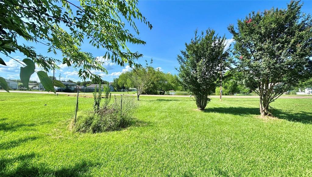 381 Cheyenne Quitman, TX 75783 - Photo 5 of 20 a view of green field with trees