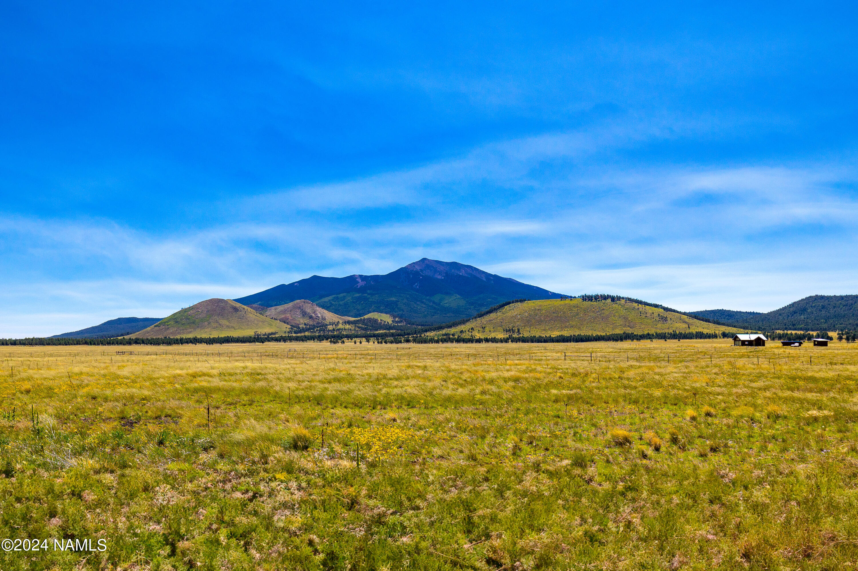 24380 Condor Road Flagstaff, AZ 86001 - Photo 8 of 18 CP-4