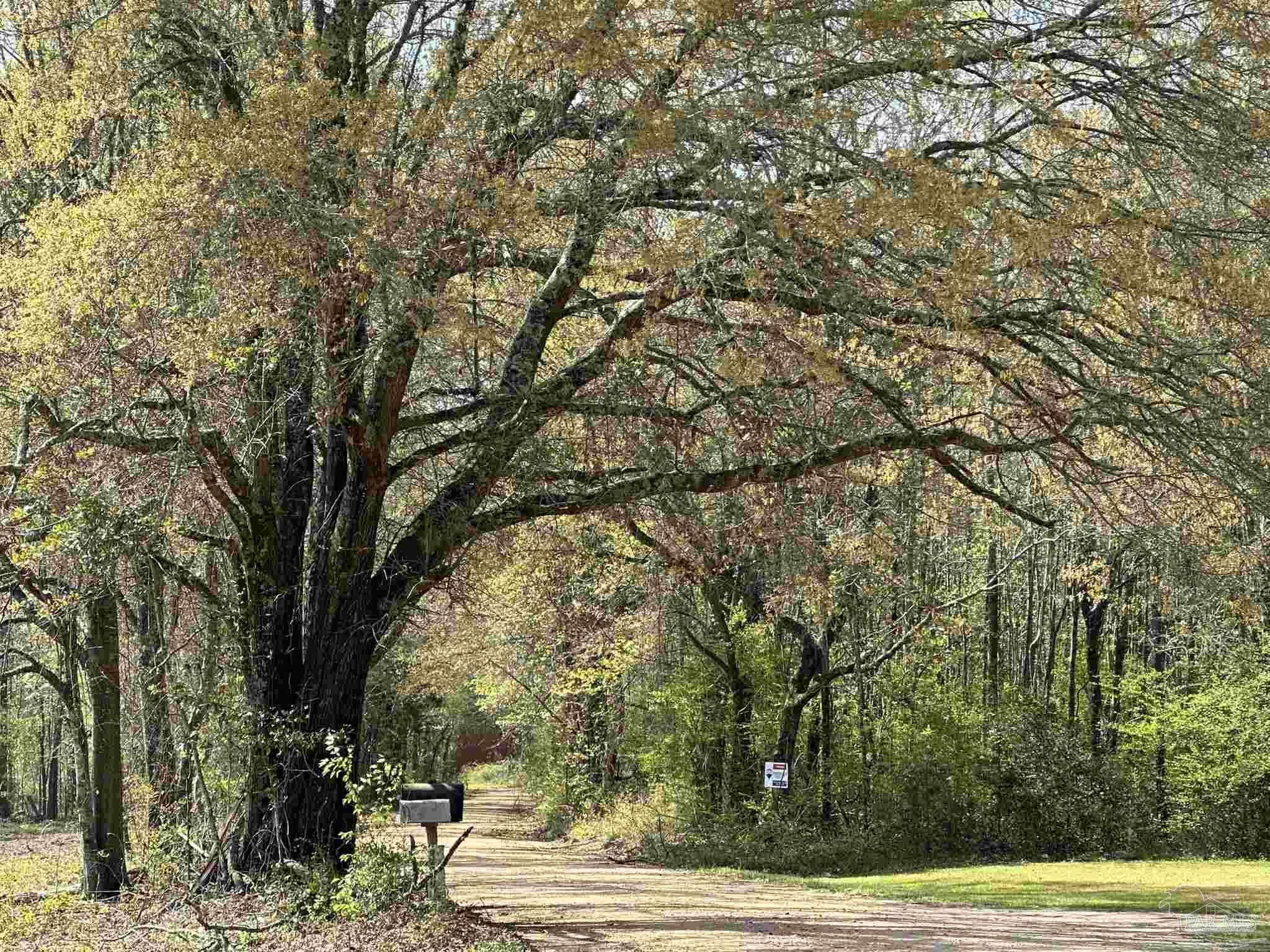 Parcel G Lett Road Frisco City, AL 36445 - Photo 1 of 5