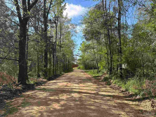 a view of a road with trees