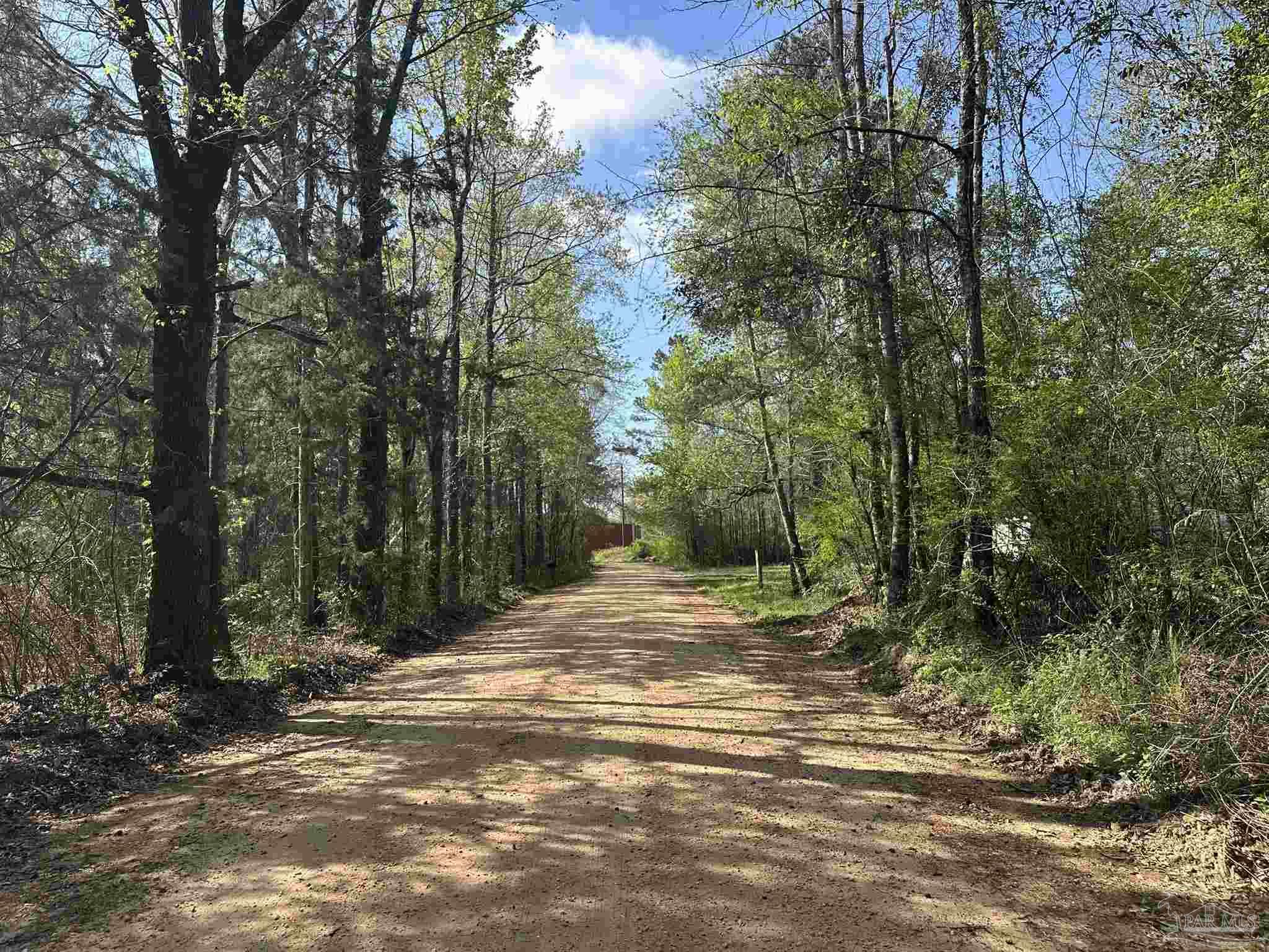 Parcel G Lett Road Frisco City, AL 36445 - Photo 3 of 5