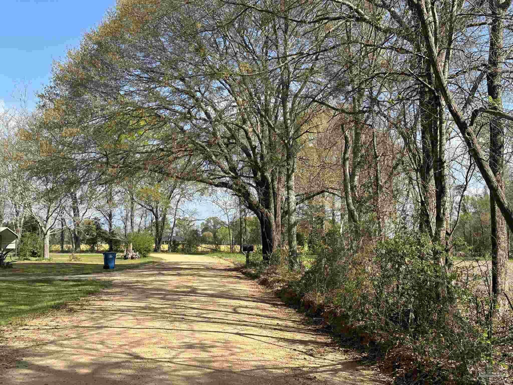 Parcel G Lett Road Frisco City, AL 36445 - Photo 4 of 5