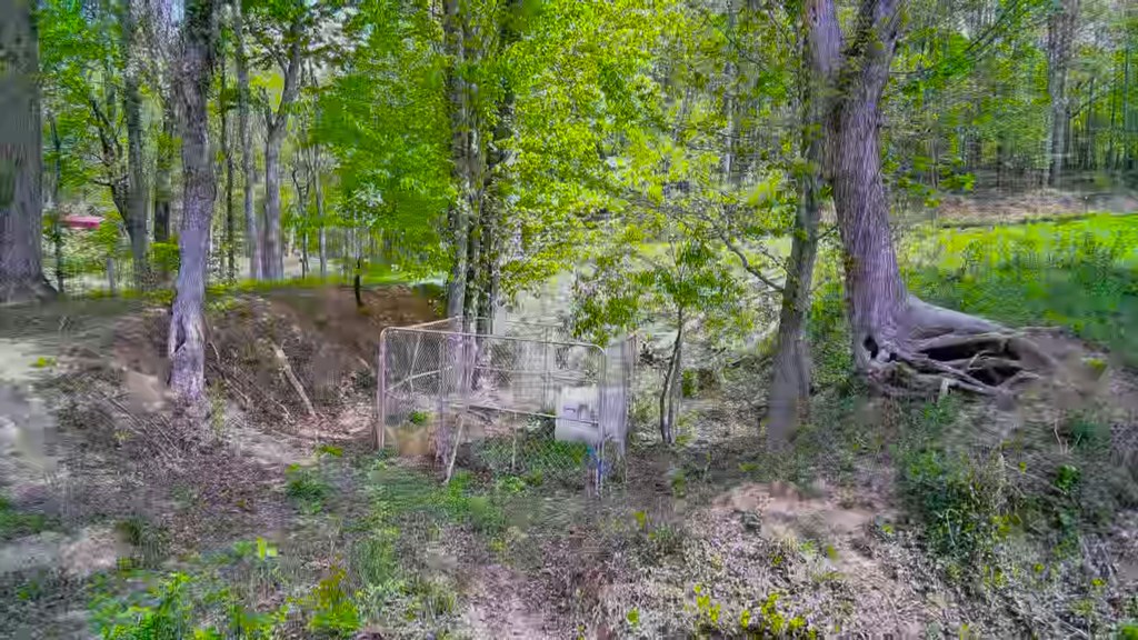 3325 Pack Mountain Road Murphy, NC 28906 - Photo 48 of 69