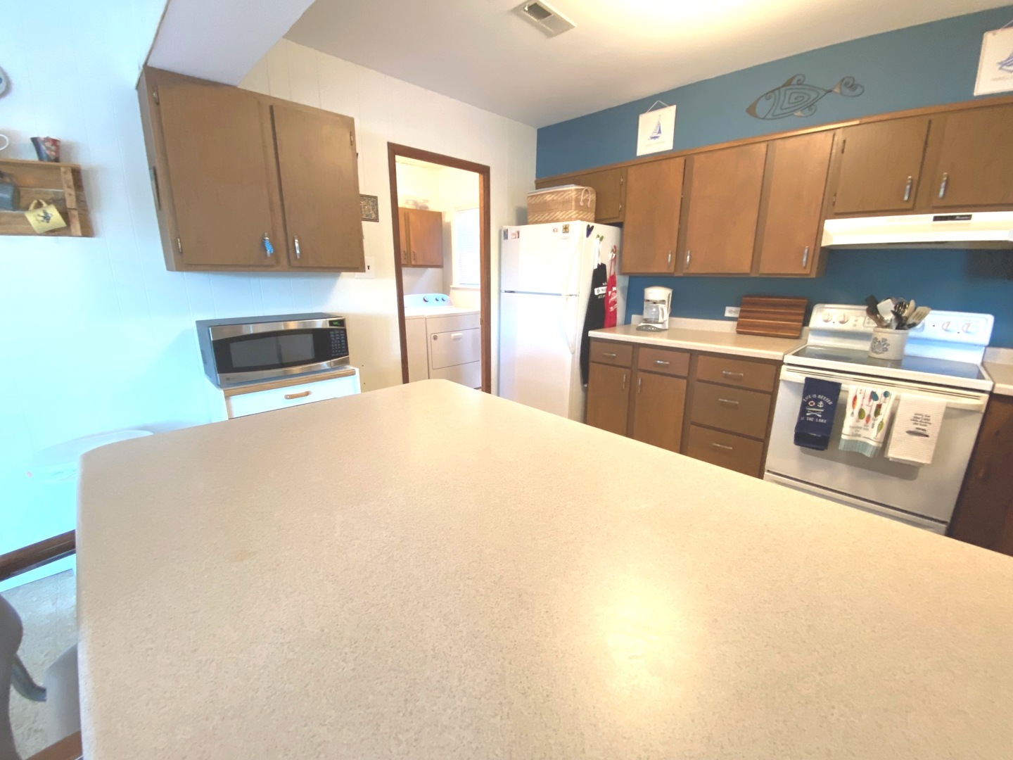 1106 Spring Lane Loda, IL 60948 - Photo 58 of 111