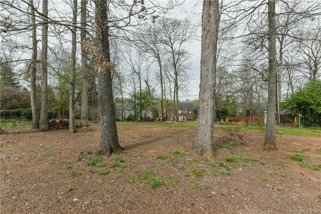 10643 Fairway Ridge Road Charlotte, NC 28277 - Photo 20 of 20