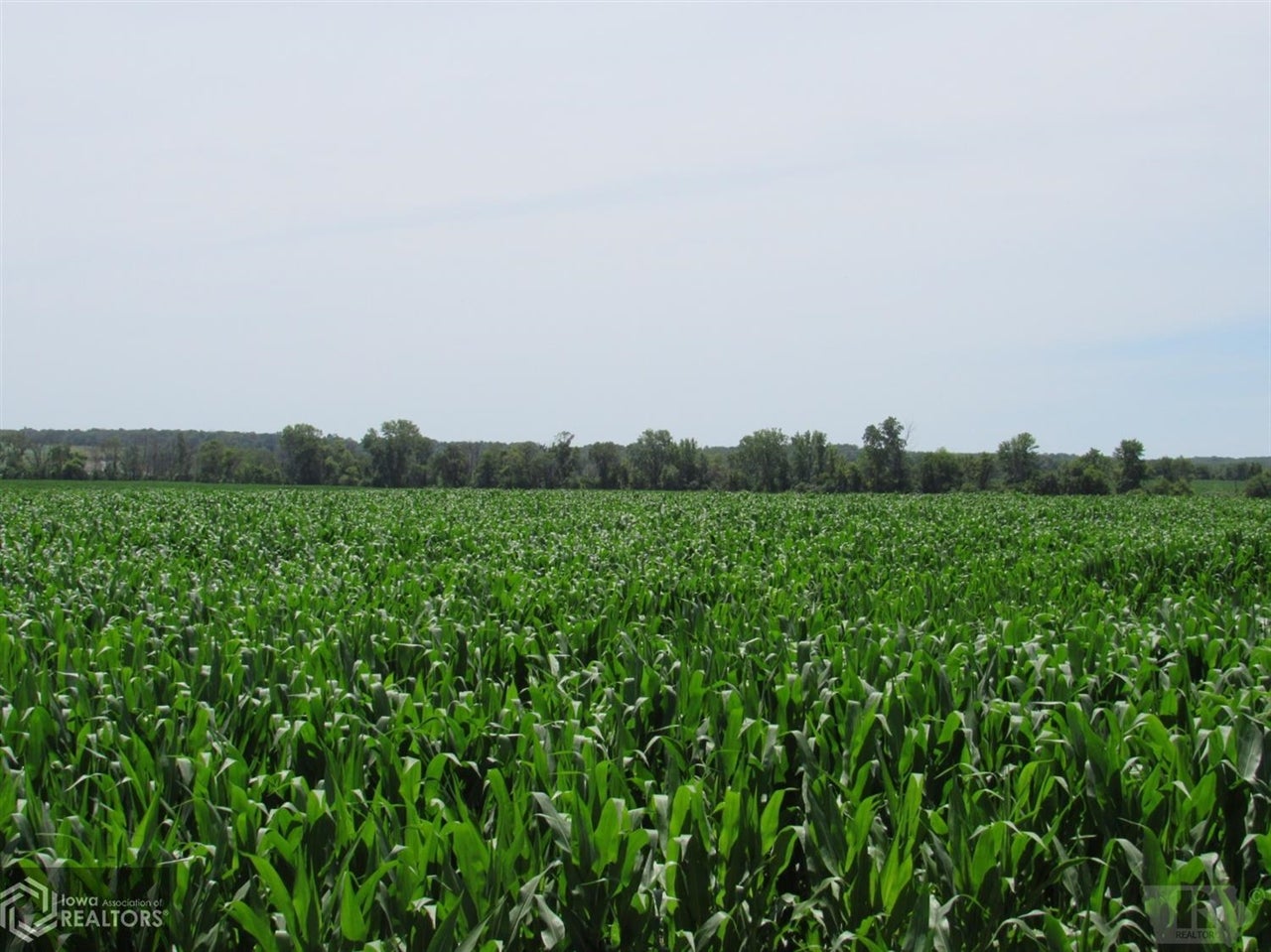 12276 Floris Road Floris, IA 52560 - Photo 1 of 10 Gallery Image 1