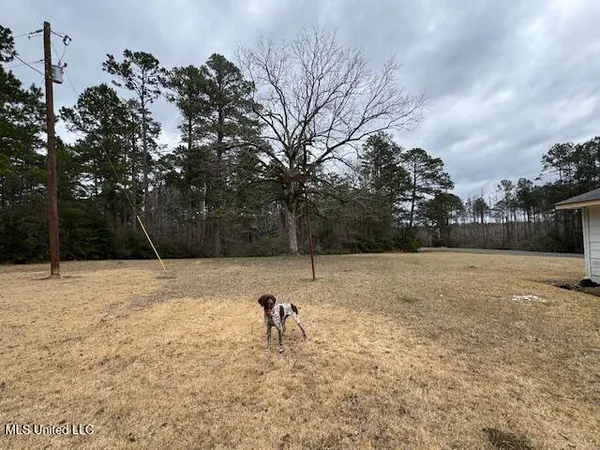 $175,000 | 14191 Highway 563, Crosby, MS 39633