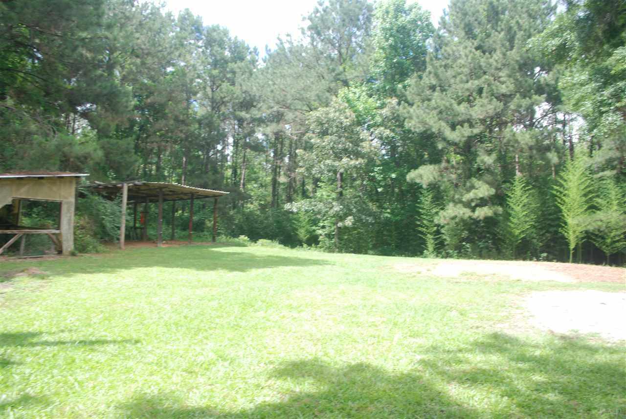 280 County Road Repton, AL 36475 - Photo 29 of 32