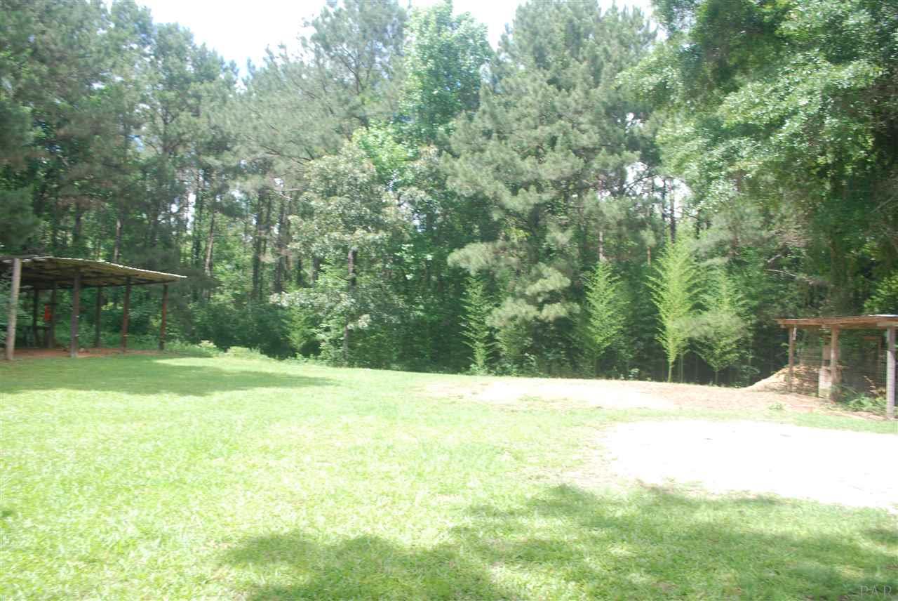 280 County Road Repton, AL 36475 - Photo 30 of 32