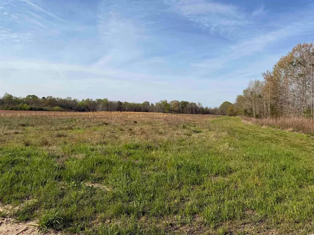 $399,000 | 2 Phil Court, Marion, SC 29571