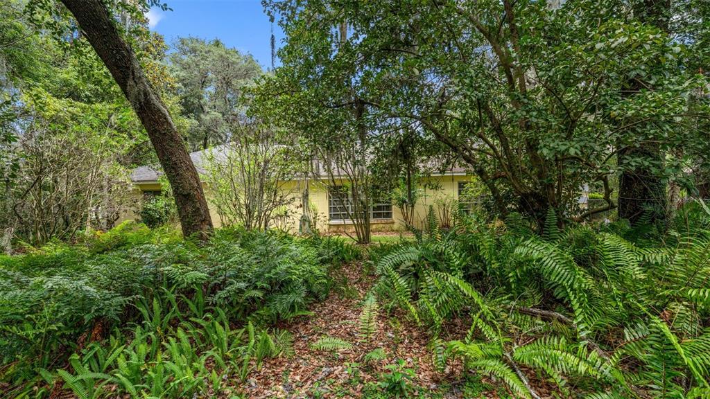 1237 Cardinal Lane DeLand, FL 32720 - Photo 74 of 83