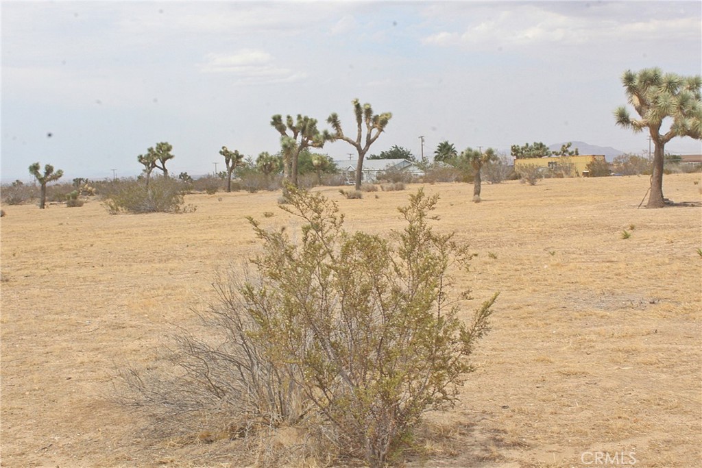 111 La Mirada Road Phelan, CA 92371 - Photo 9 of 12