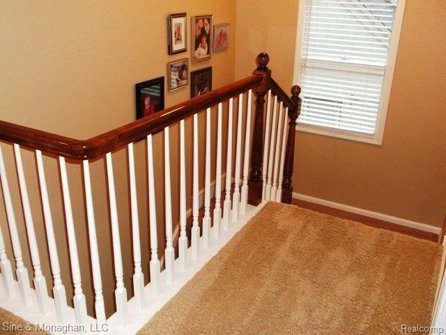 438 Moran Road Grosse Pointe, MI 48236 - Photo 22 of 25 DSCF0634.JPG