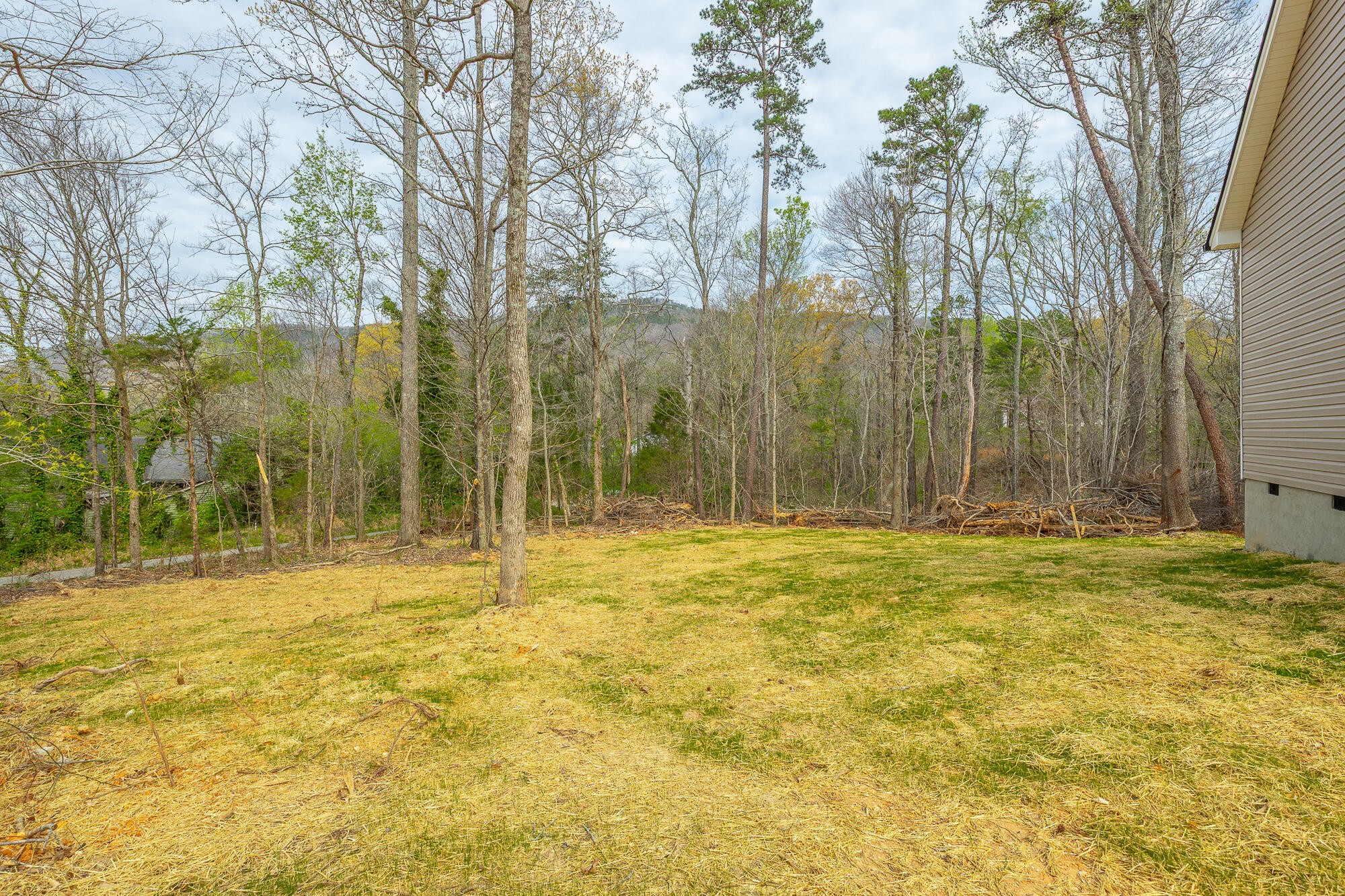 77 Pineway Circle Wildwood, GA 30757 - Photo 43 of 52 a view of a yard with trees