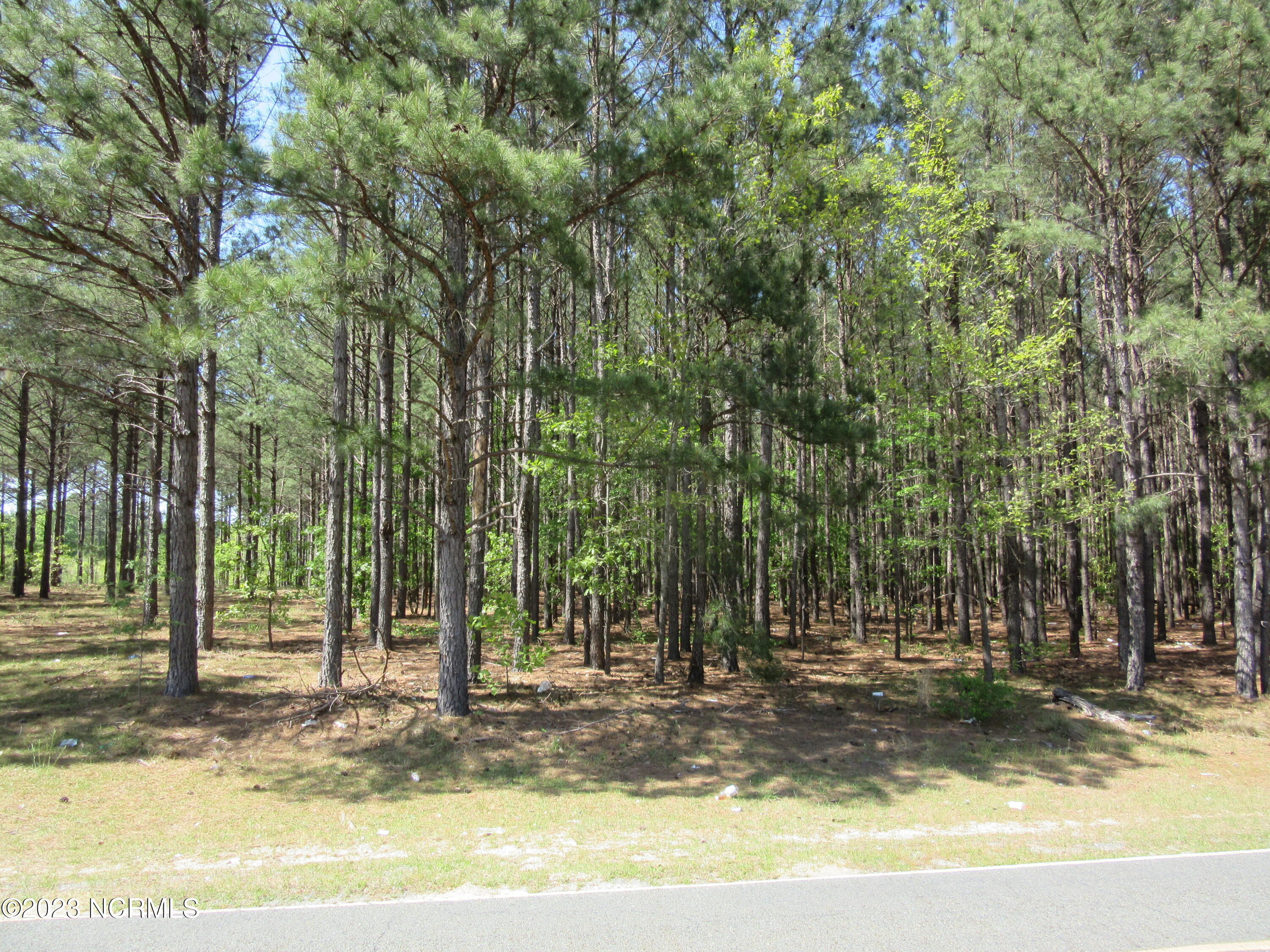 Lot 6 Rummage Pack House Road Ellerbe, NC 28338 - Photo 1 of 2 IMG_5882