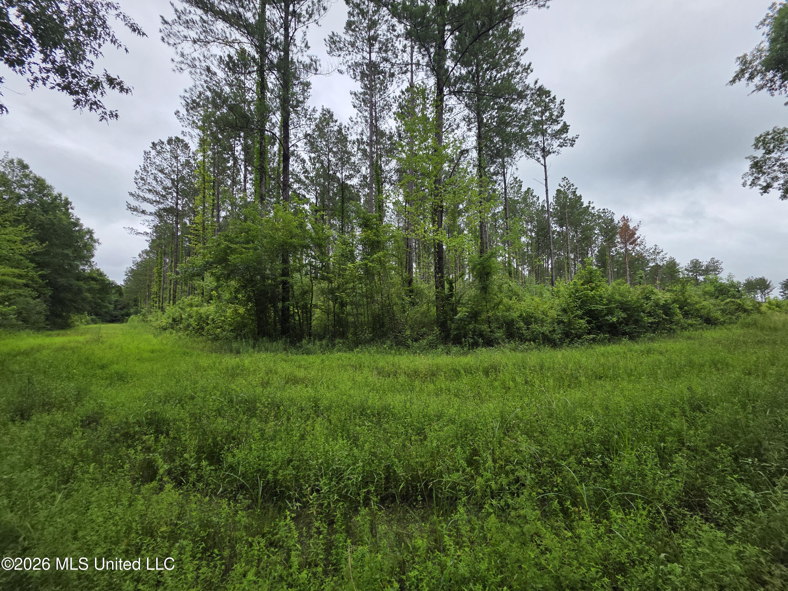 244 Foster Road Sontag, MS 39665 - Photo 37 of 105 35463