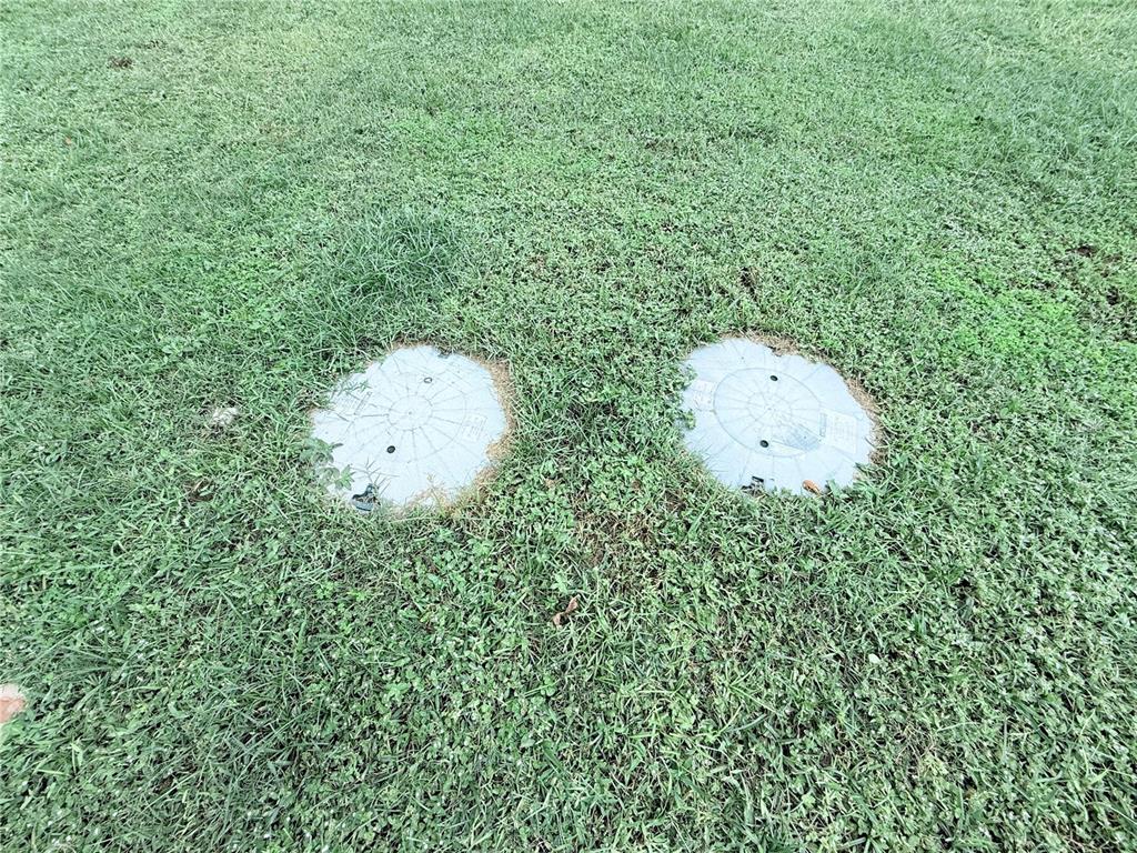 9733 Dick Street Hudson, FL 34669 - Photo 15 of 40 a picture of a tree