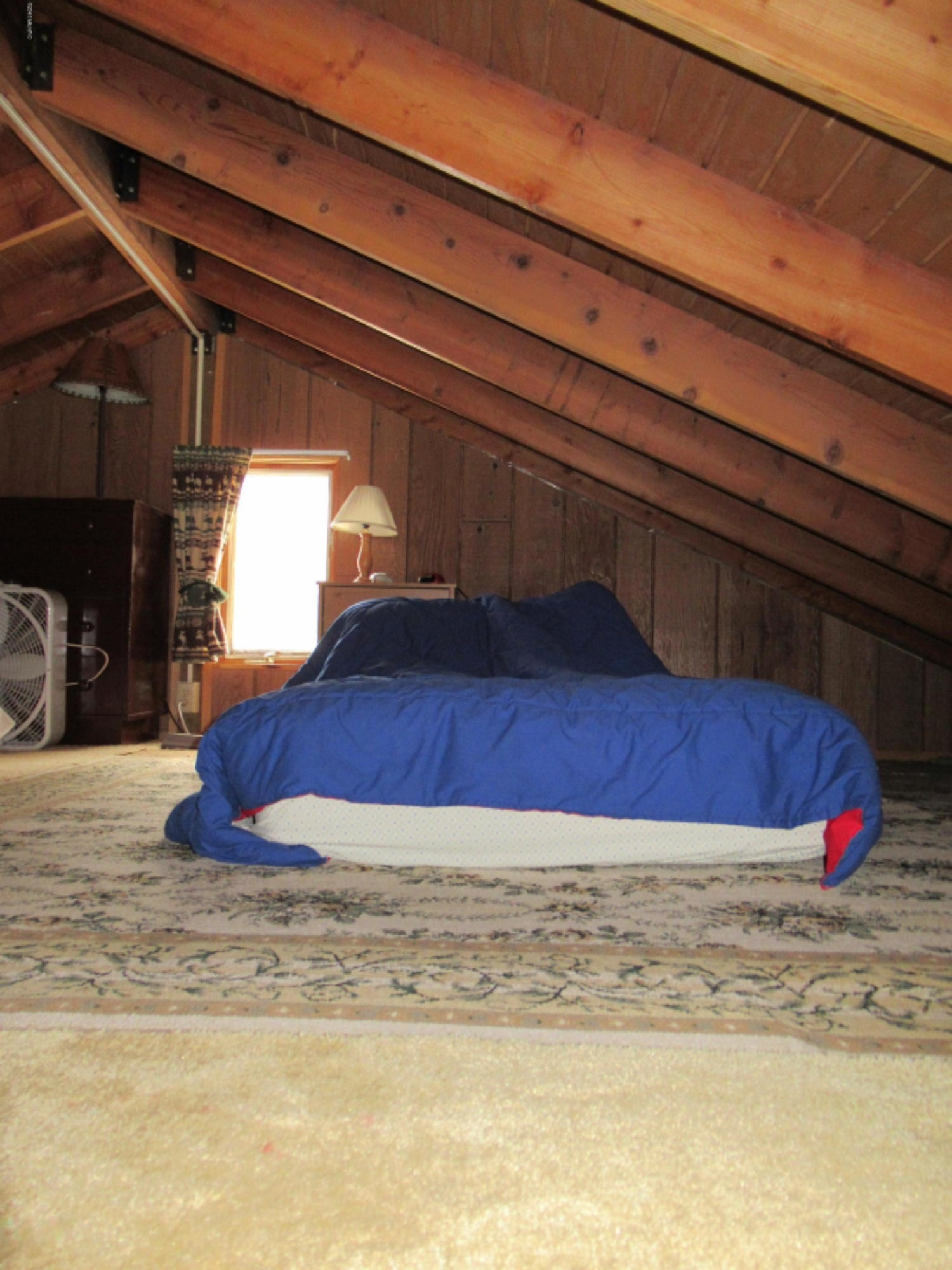 1746 Tom Nolan Road Allegan, MI 49010 - Photo 22 of 27 IMG_0344