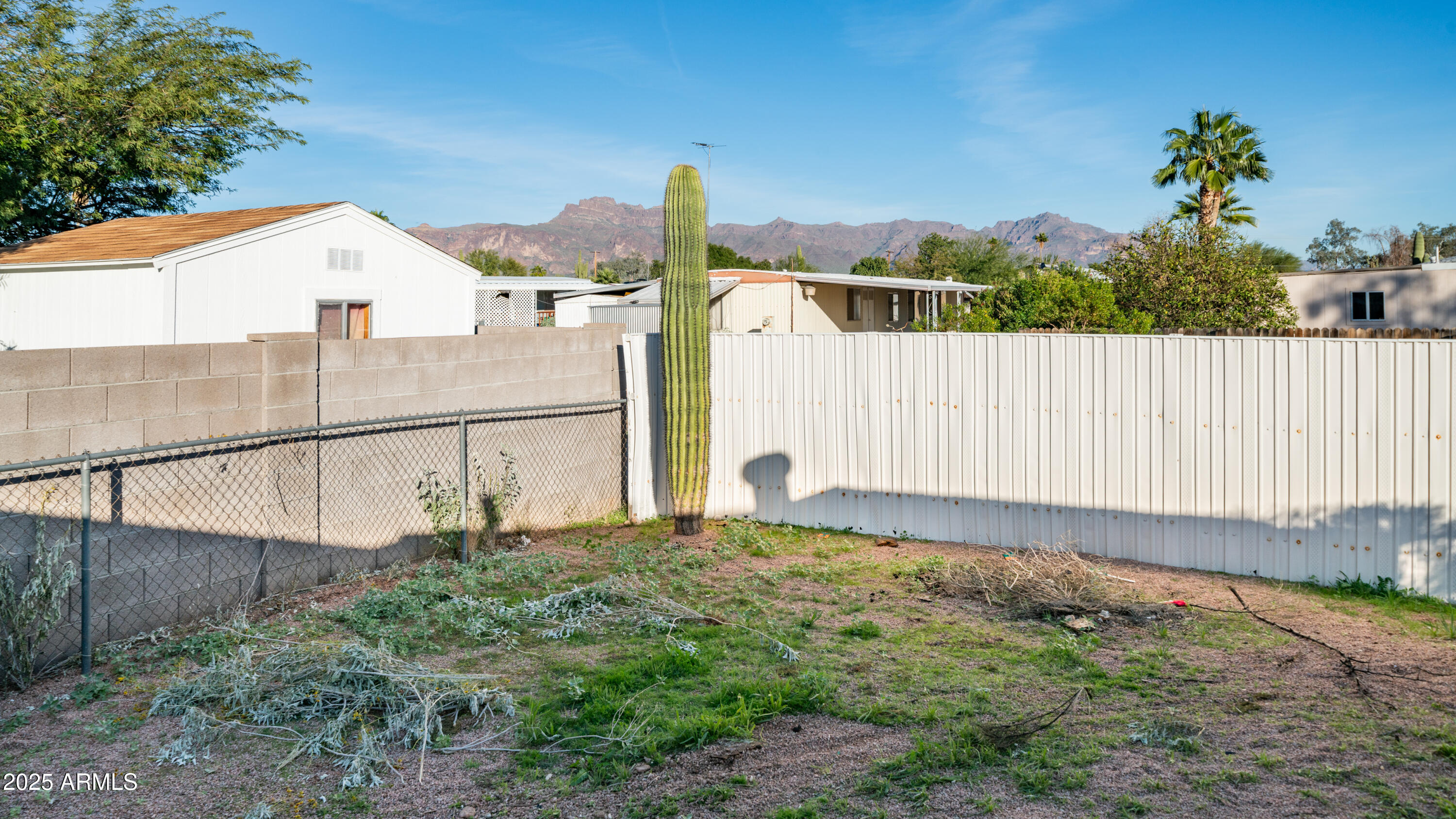 2359 South Tomahawk Road Apache Junction, AZ 85119 - Photo 28 of 32 a view of a backyard