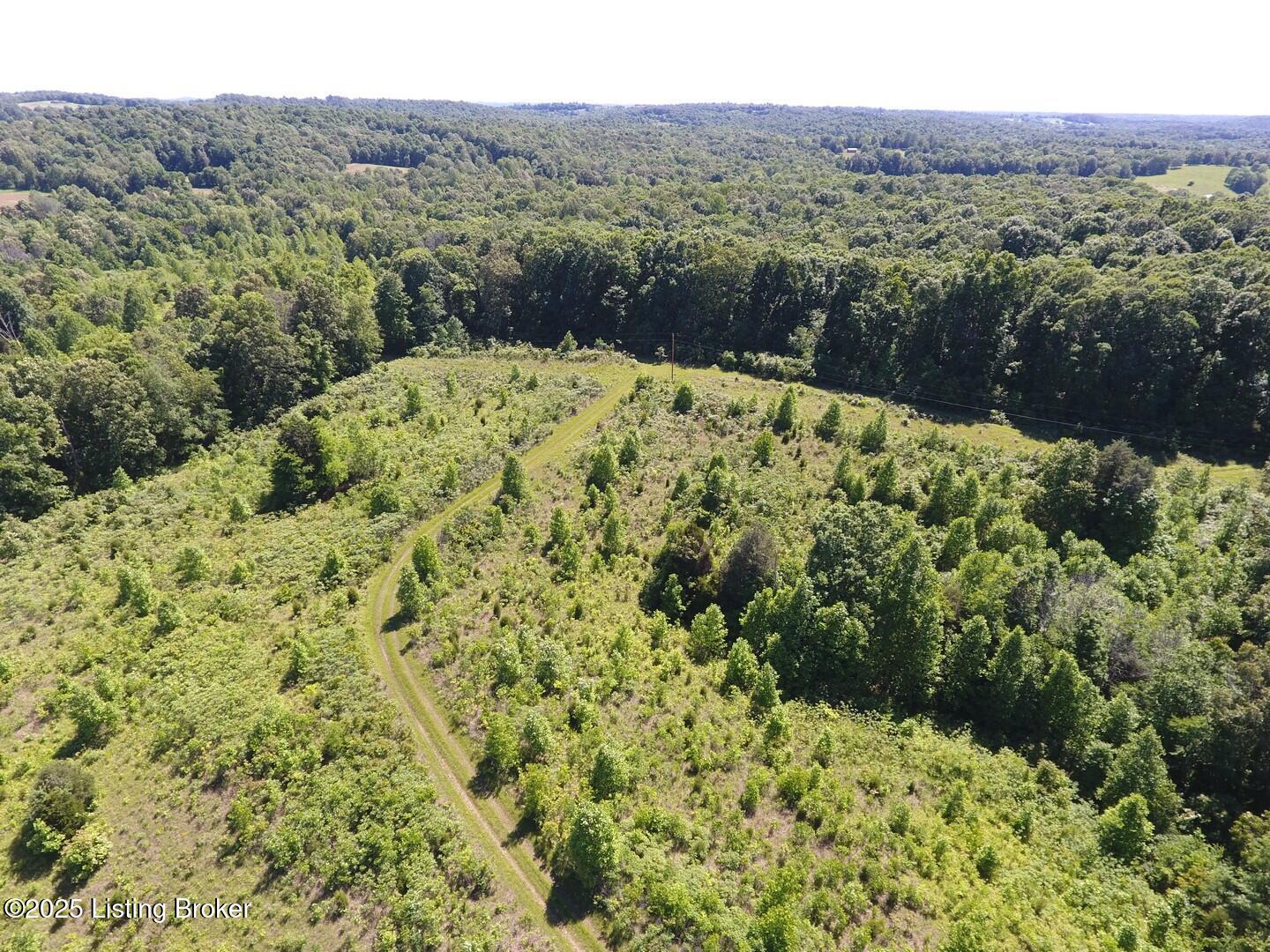 0 Vic Young Road Olaton, KY 42361 - Photo 5 of 40 100 Vic Young Rd6