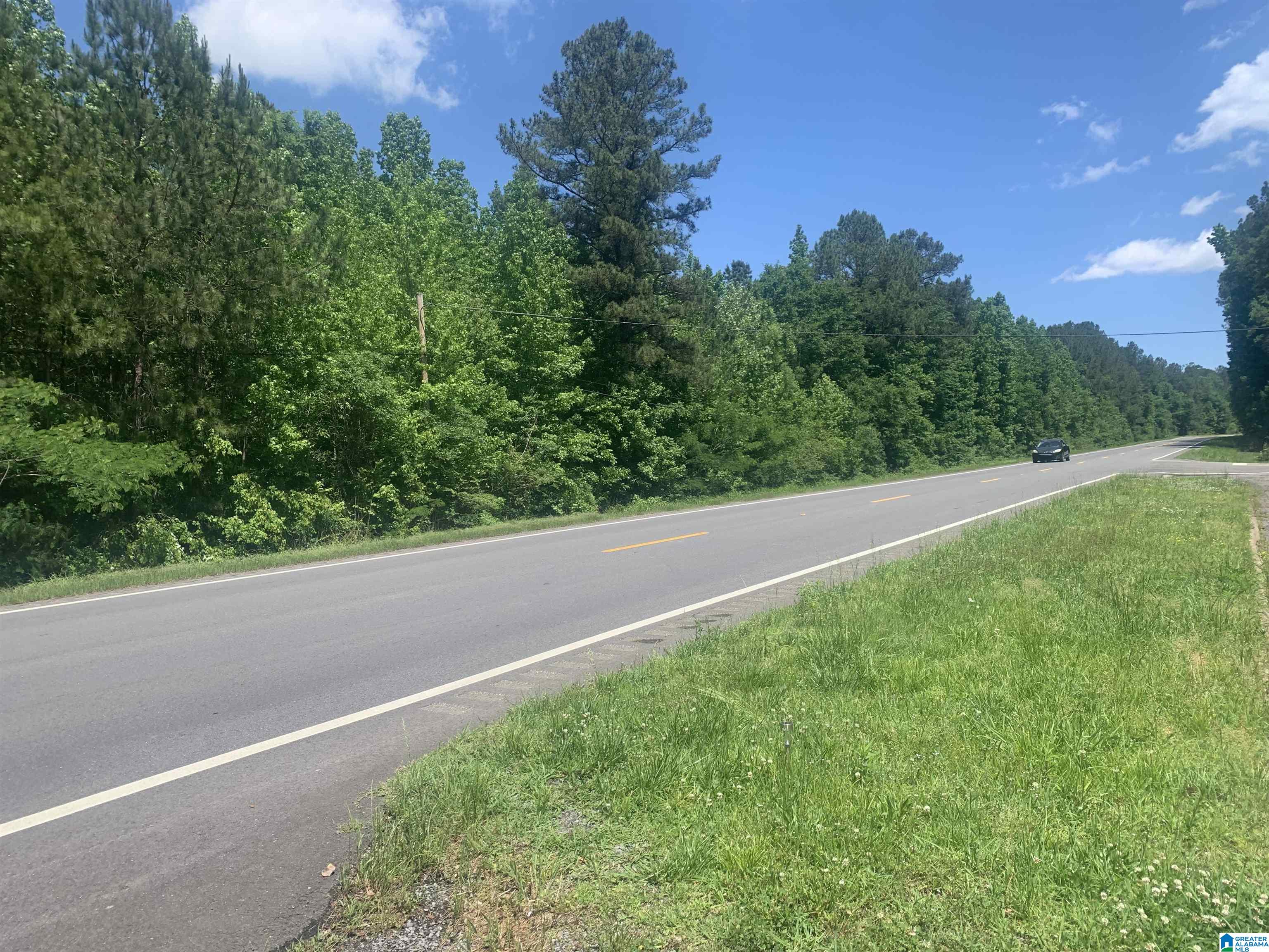 32510 Highway 79 Cleveland, AL 35049 - Photo 4 of 35