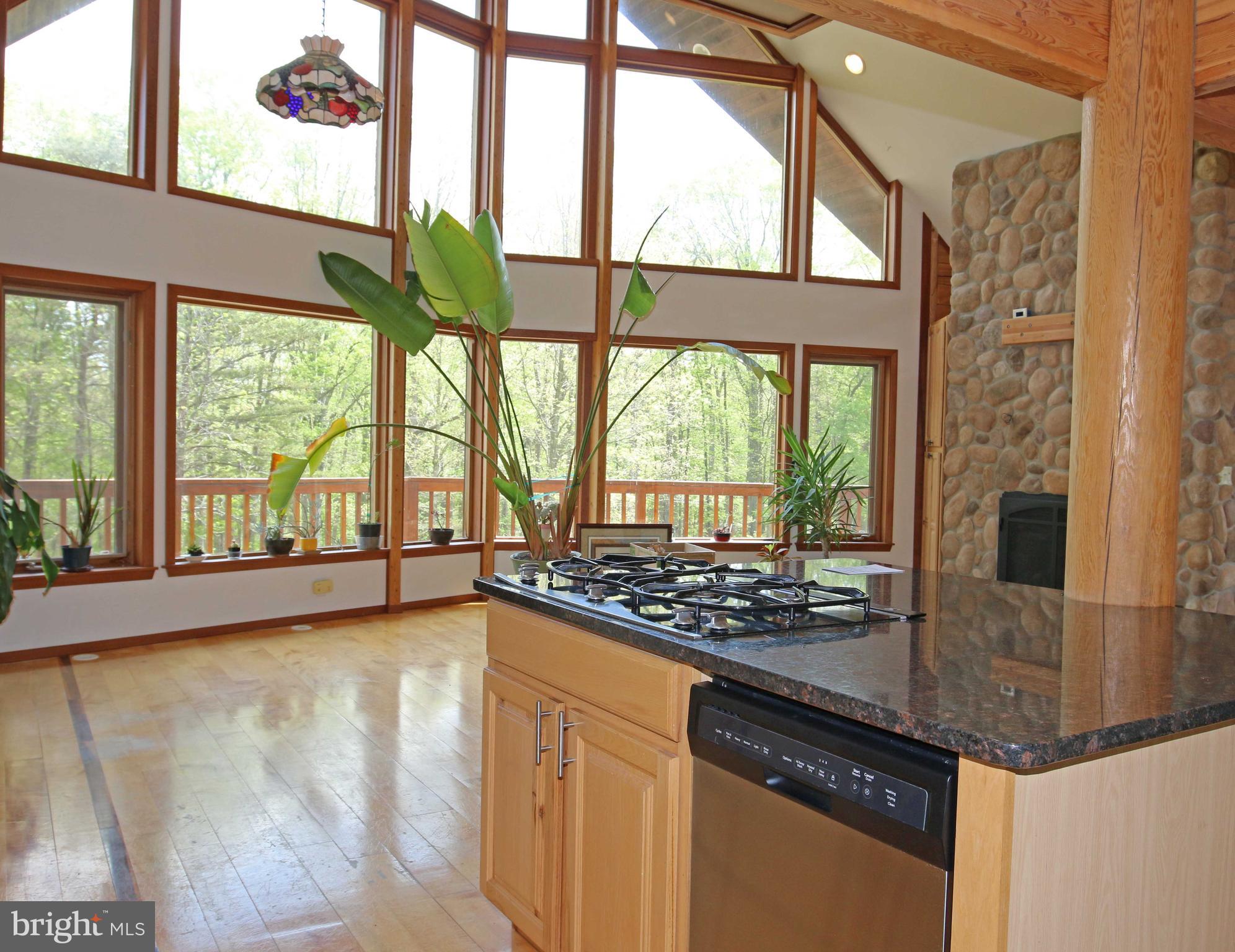 6251 Cherry Run Road Hedgesville, WV 25427 - Photo 4 of 35 Gallery Image 4