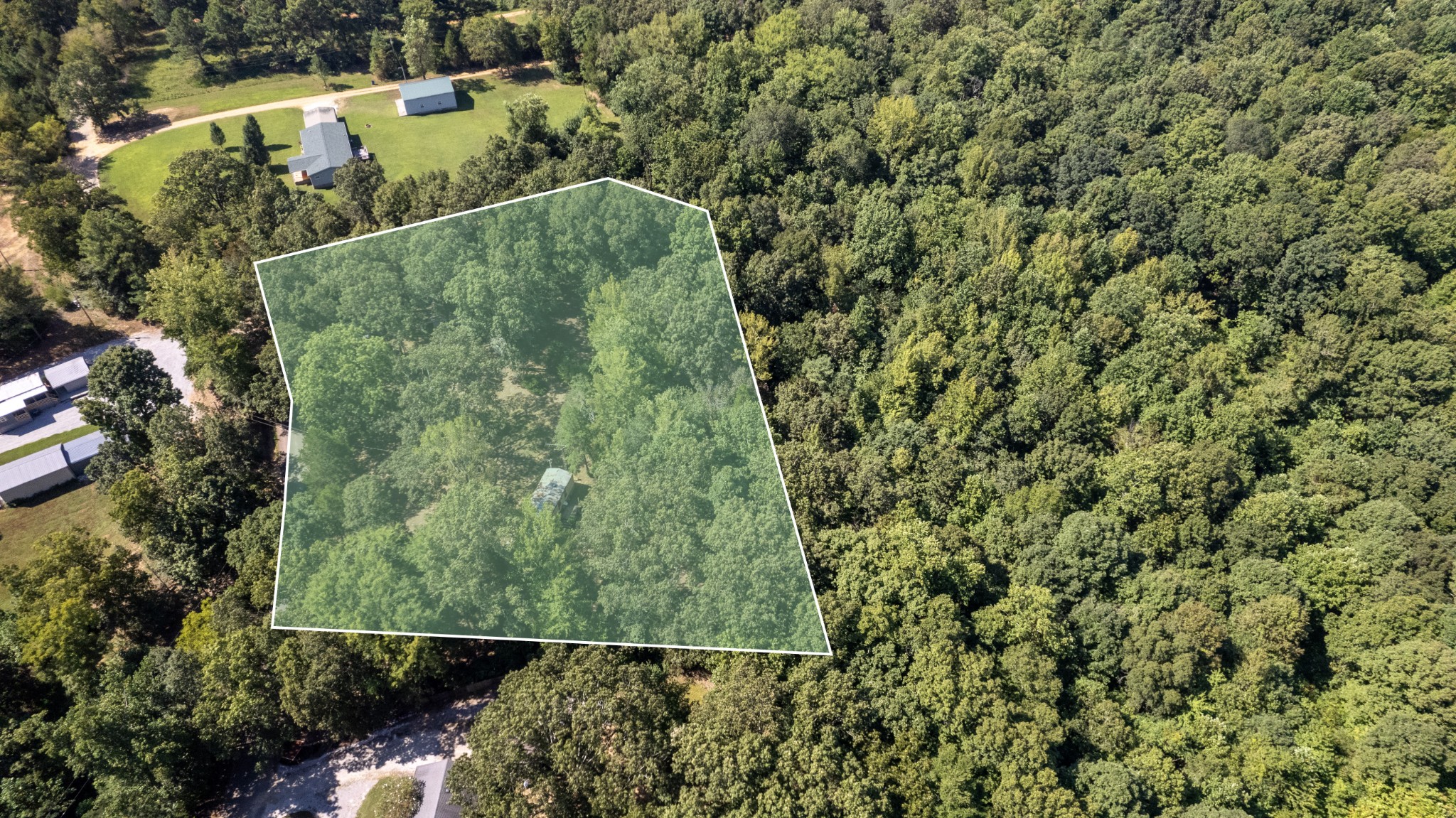 250 Hamilton Road Springville, TN 38256 - Photo 3 of 11 Gallery Image 3