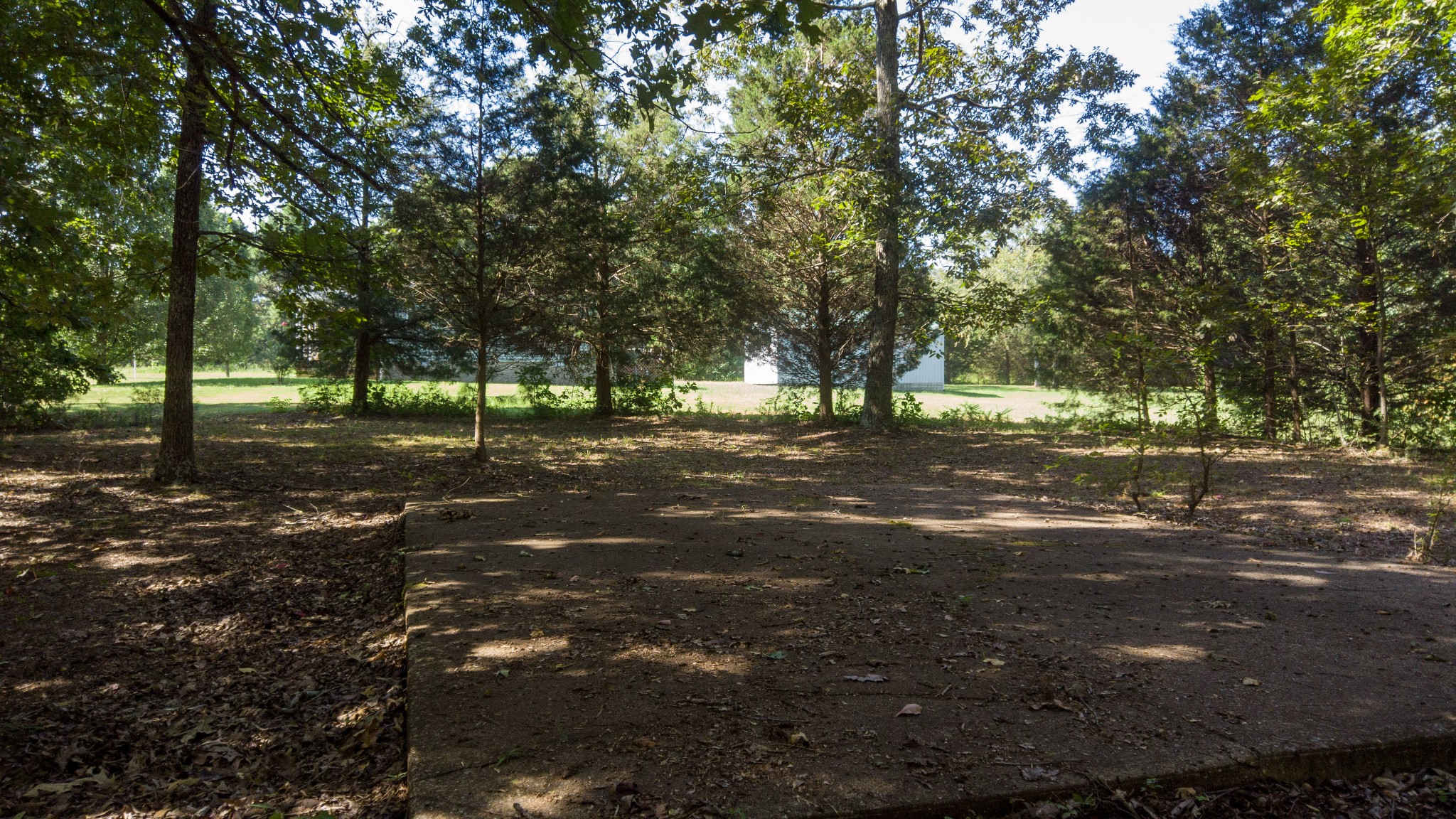 250 Hamilton Road Springville, TN 38256 - Photo 6 of 11 Gallery Image 6