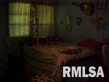 4387 Maple Road Metropolis, IL 62960 - Photo 13 of 17