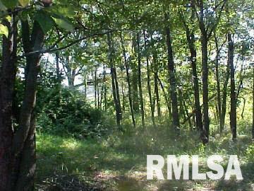 4387 Maple Road Metropolis, IL 62960 - Photo 3 of 17