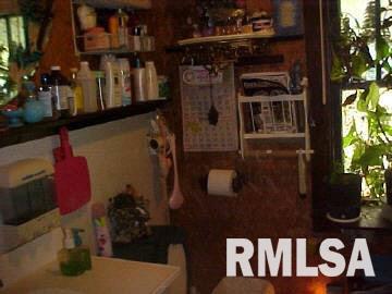 4387 Maple Road Metropolis, IL 62960 - Photo 9 of 17