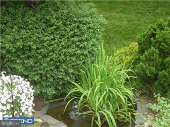 213 Demarest Road Moorestown, NJ 08057 - Photo 9 of 11 View