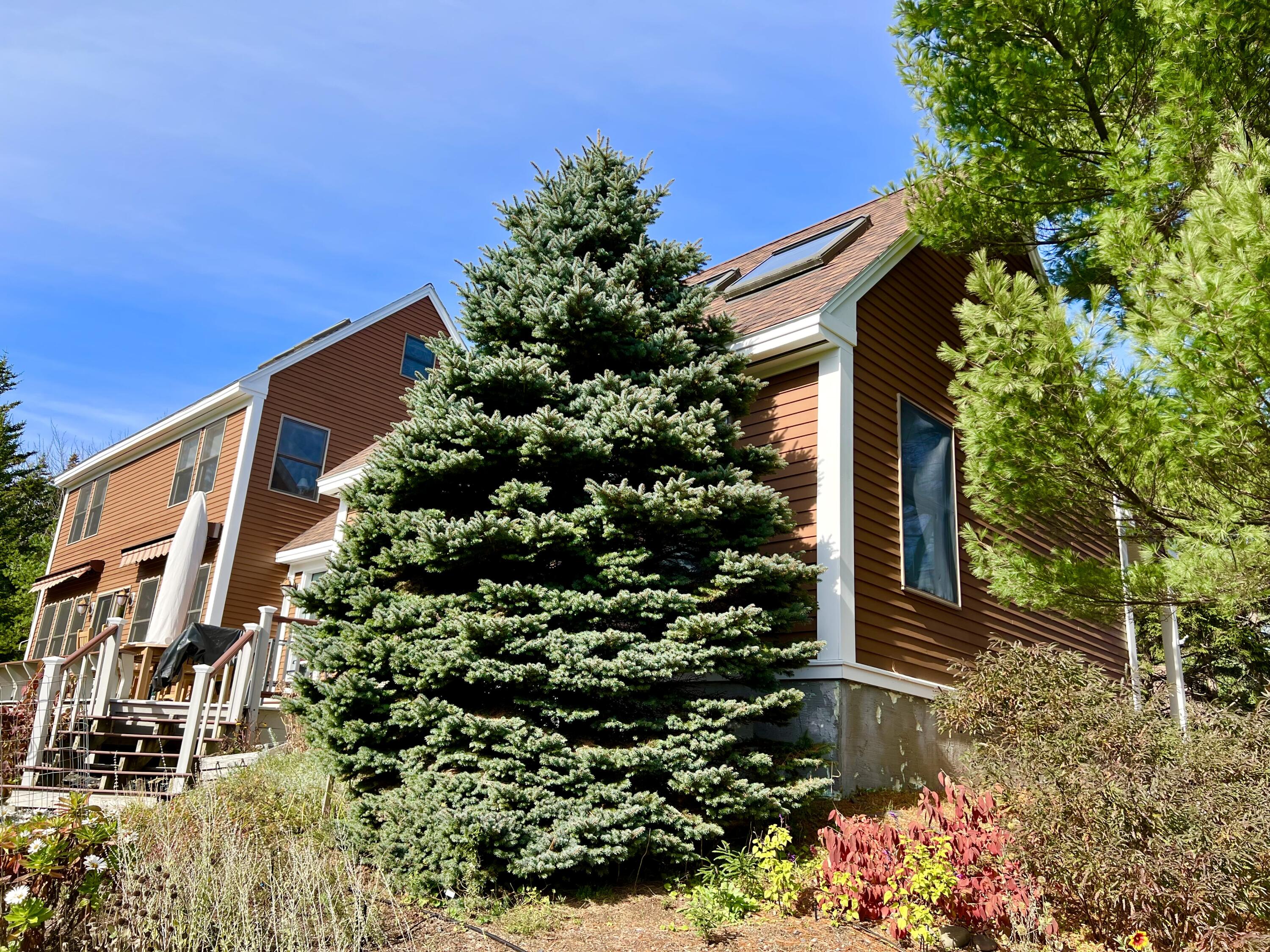 70 Burnt Hill Road Tremont, ME 04653 - Photo 3 of 69 Exterior back and side