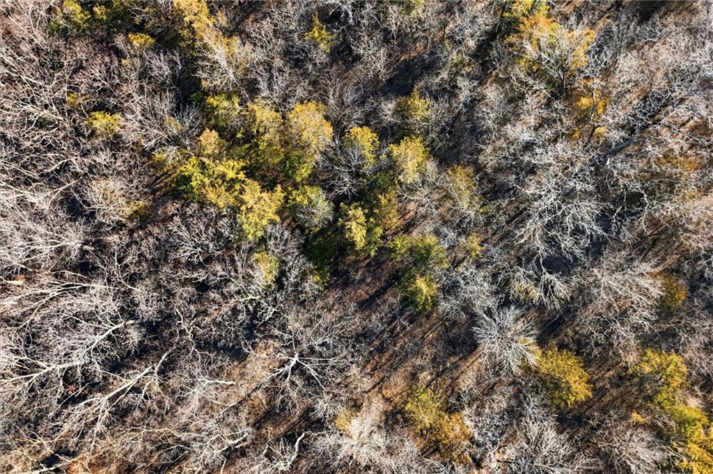 20118 East Truman Road Independence, MO 64056 - Photo 27 of 29