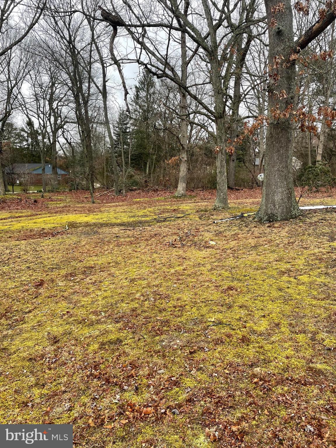 1064 Centerton Road Elmer, NJ 08318 - Photo 2 of 13 Gallery Image 2