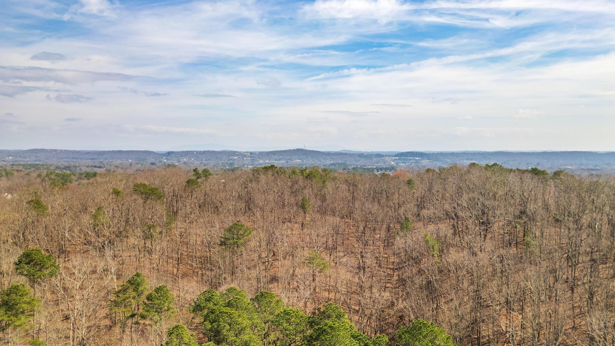 772 Rabbit Valley Road Northwest Cleveland, TN 37312 - Photo 5 of 13