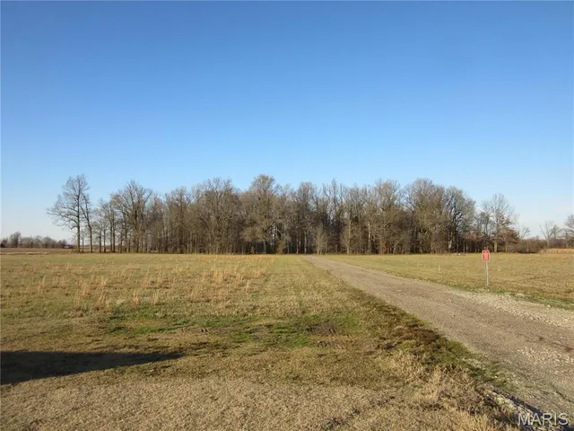 $164,500 | 14639 Highway Dd Campbell Mo 63933, Campbell, MO 63933