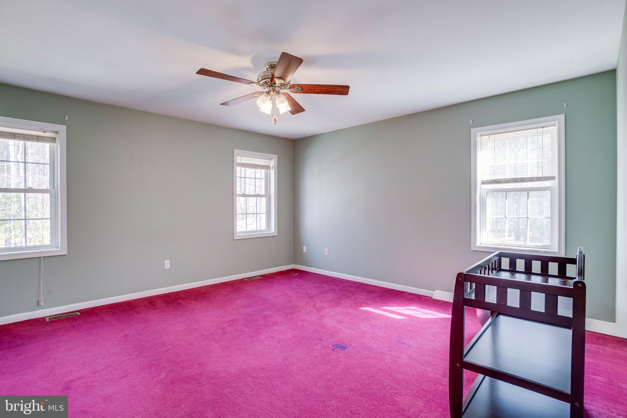 3220 Courtney School Road Midland, VA 22728 - Photo 35 of 111 Second main level bedroom with bath