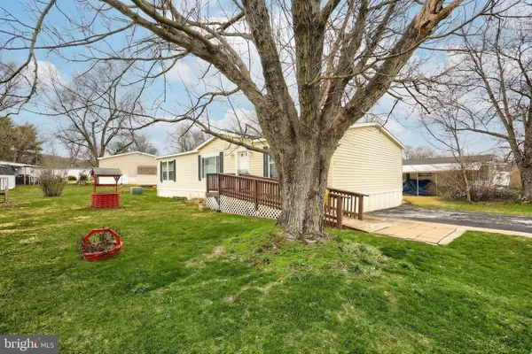 a view of a house with backyard and tree