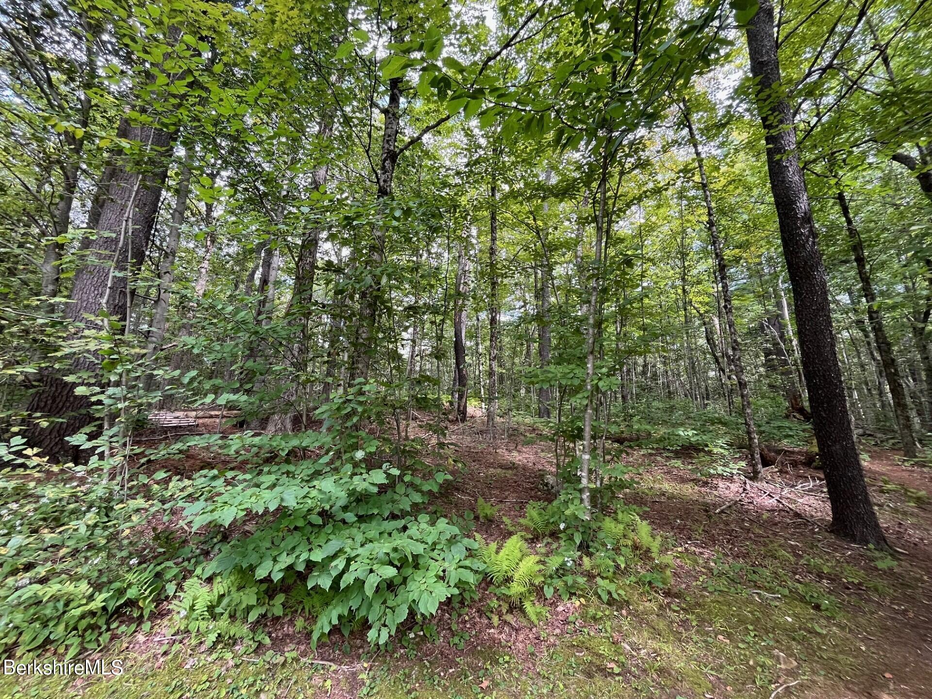 119 Johnson Road Becket, MA 01223 - Photo 31 of 50 land