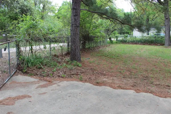 a view of a forest with trees in the background