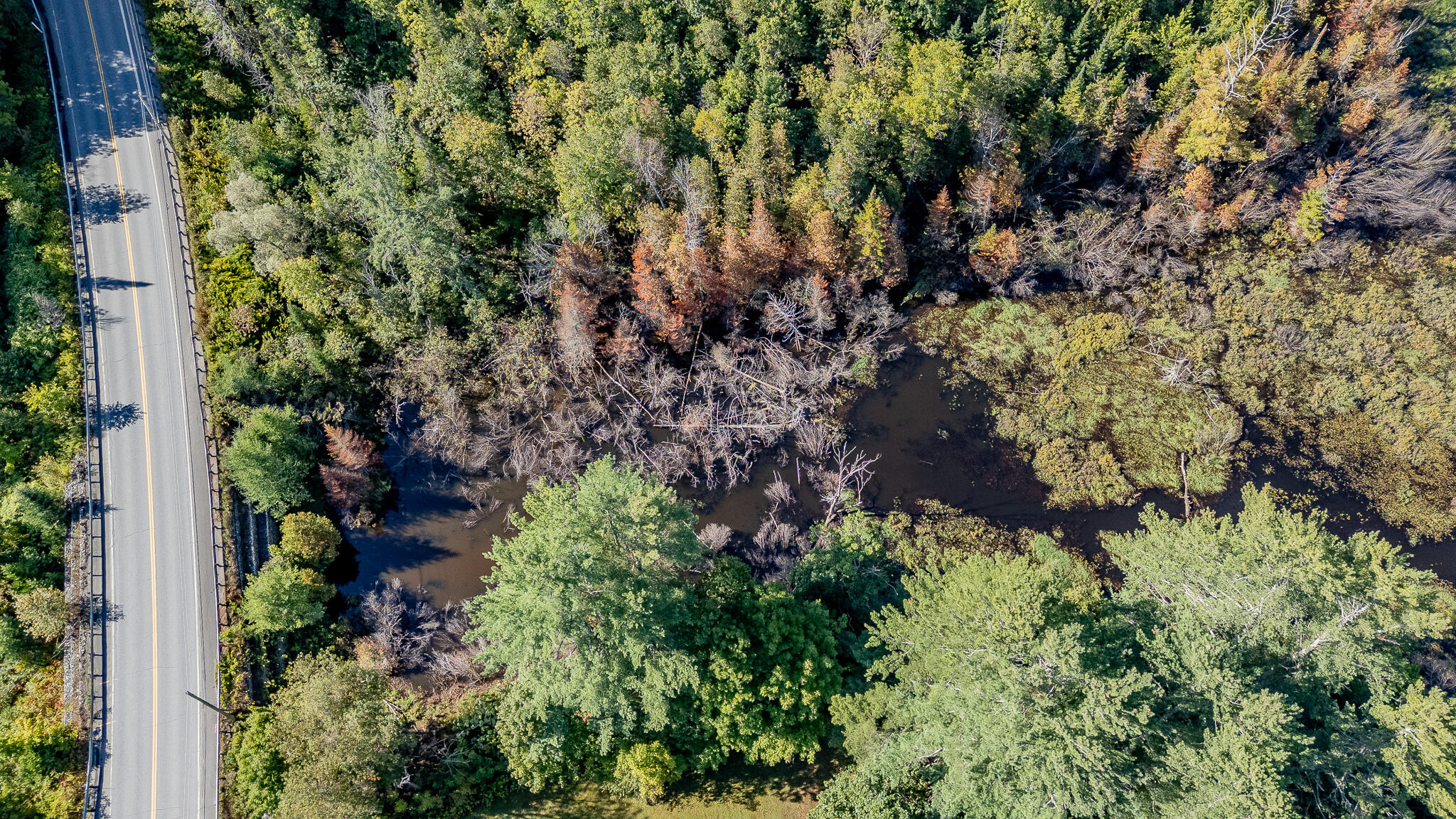 1153 Dexter Road Dover-Foxcroft, ME 04426 - Photo 58 of 73 DJI_20250908094129_0353_D