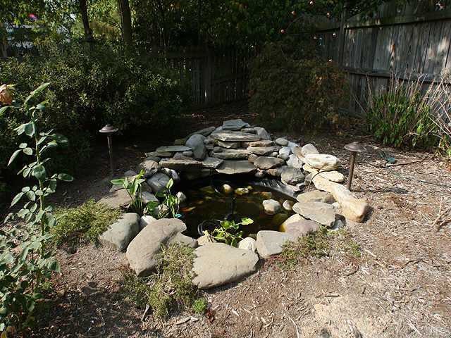 400 Pradera Way Raleigh, NC 27615 - Photo 10 of 10 Gallery Image 10