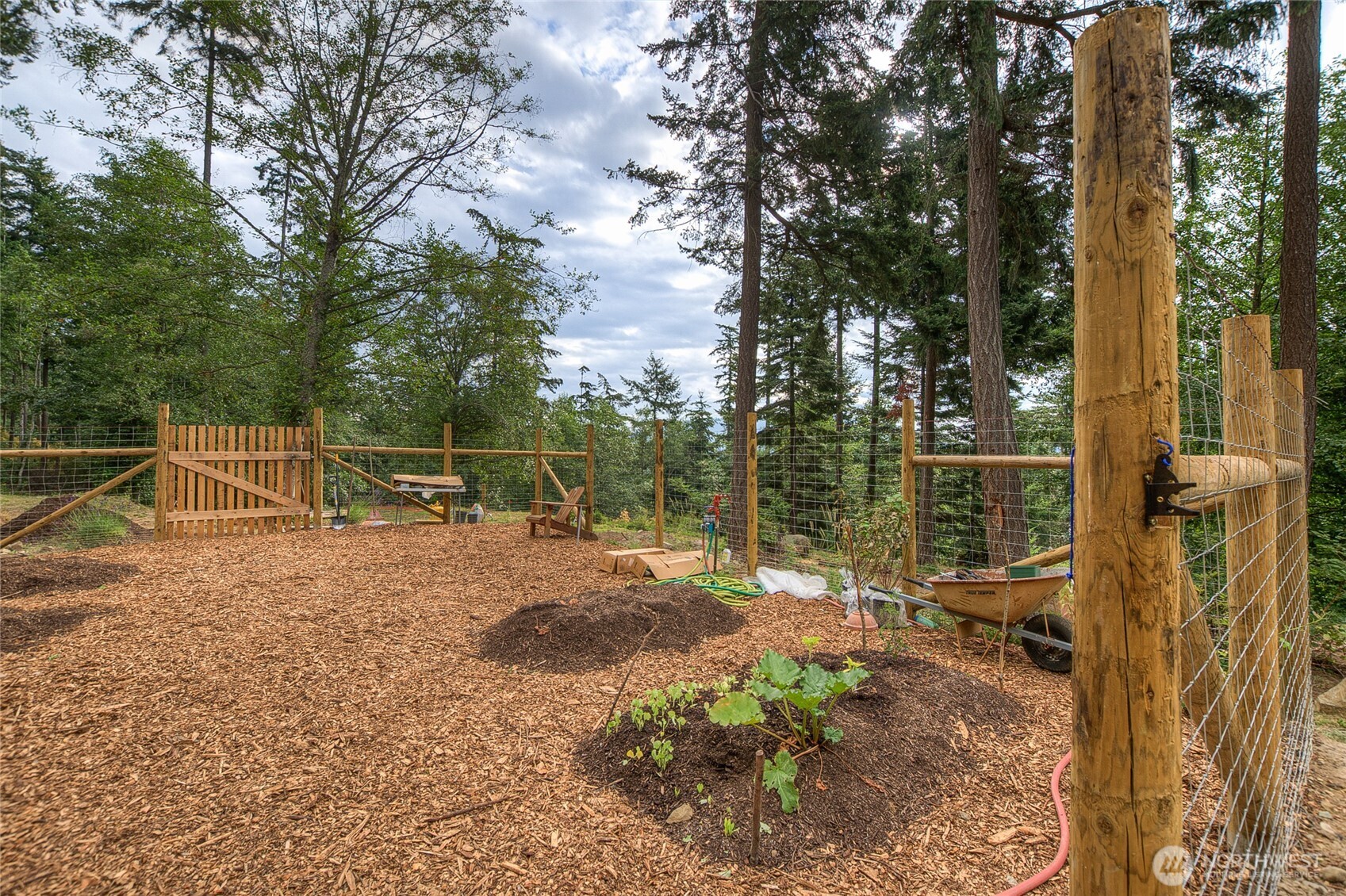 300 Pleasure Horse Road Orcas Island, WA 98245 - Photo 27 of 31 a view of a backyard