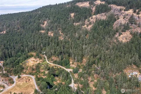 a view of a forest with a forest