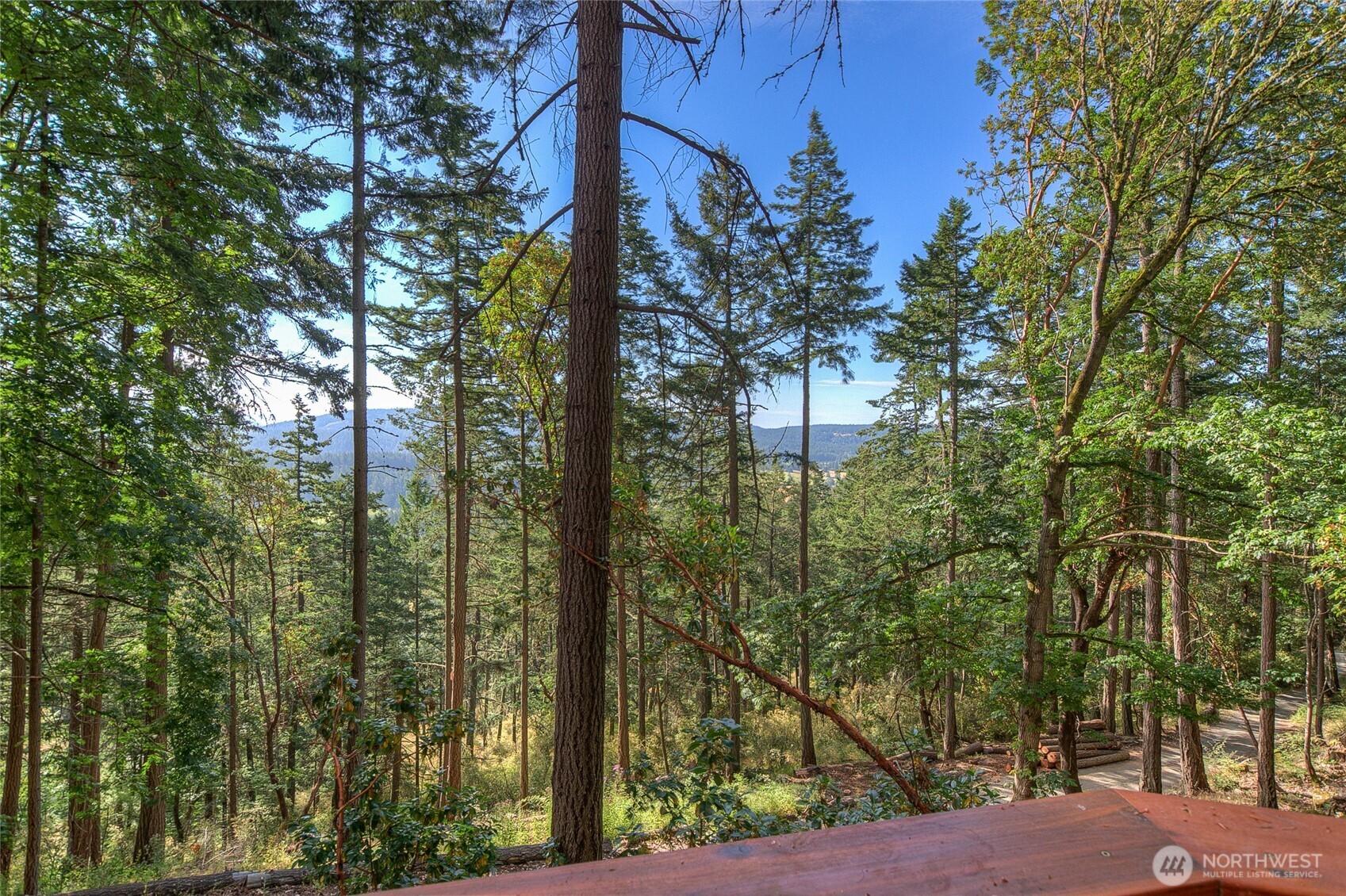 300 Pleasure Horse Road Orcas Island, WA 98245 - Photo 5 of 31 a view of a city street