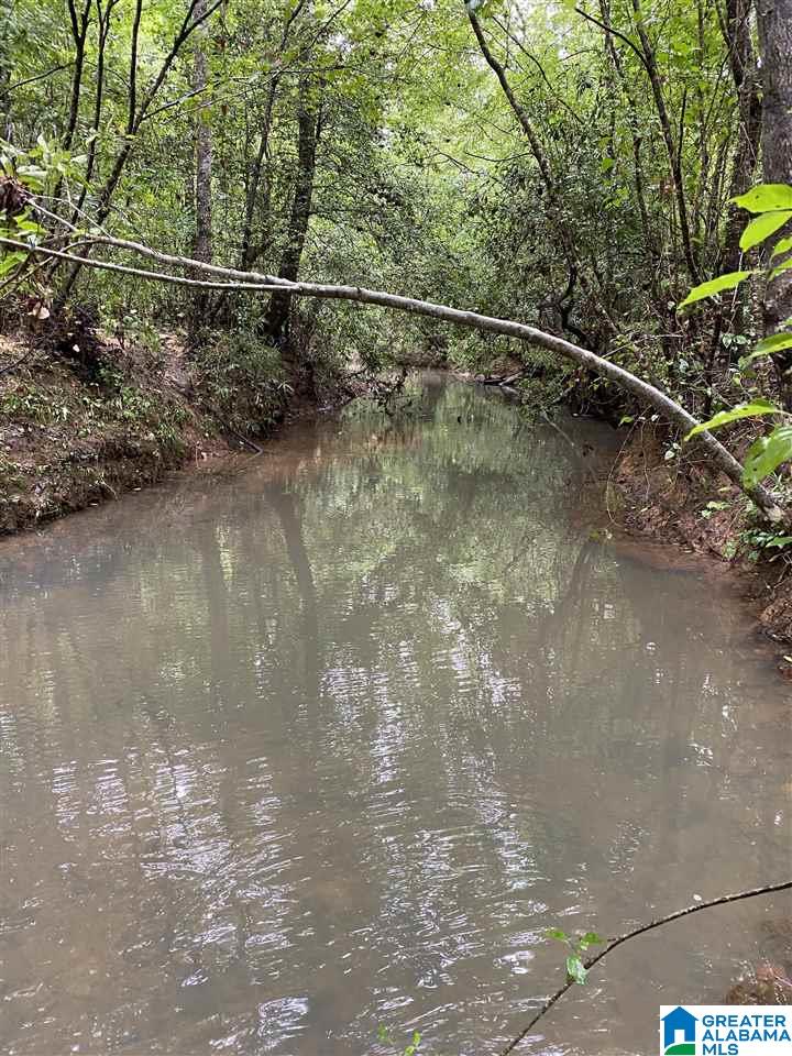 Bama Rock Garden Road Vance, AL 35490 - Photo 9 of 12